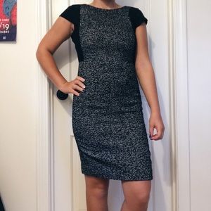 J. Crew Professional Gray Wool and Lace Dress